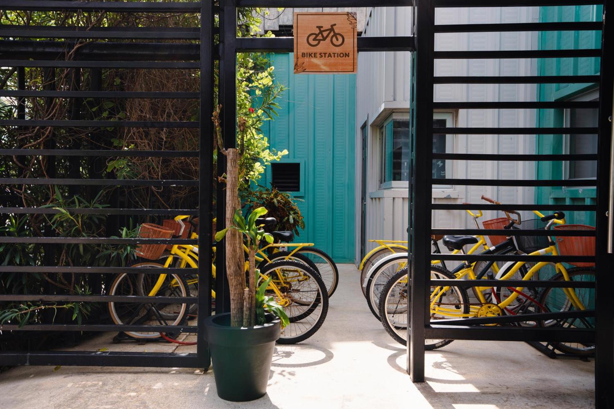 Mayan Monkey - Social (adults Only) Hostel
